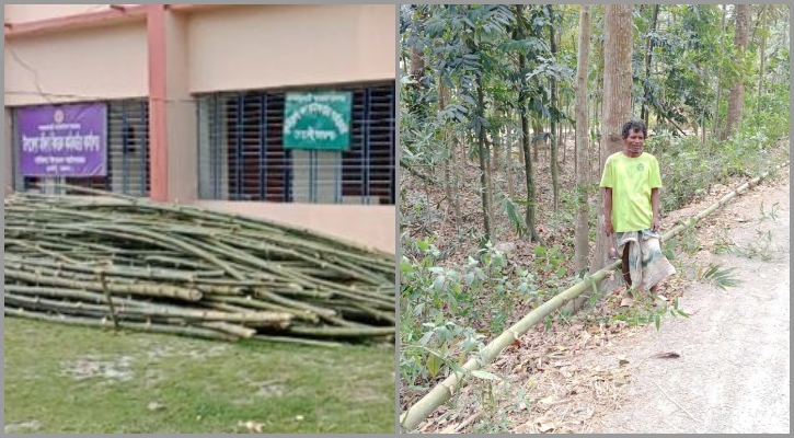 ব্যক্তিমালিকানার বাঁশ কেটে নেওয়ার অভিযোগ বন বিভাগের বিরুদ্ধে